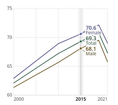Graphical representation of life expectancy